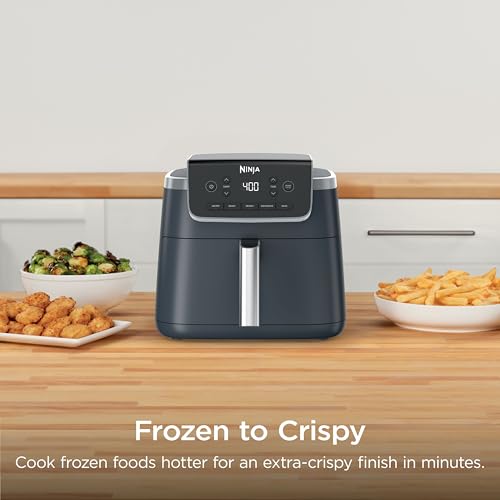Image of Ninja Air Fryer Pro 5-in-1 | 5 QT Capacity, Air Fry, Bake, Roast, Reheat, and Dehydrate, Air Crisp Technology | Nonstick Basket & Crisper Plate | Cyberspace | AF142BL