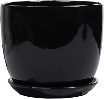 Ceramic Flower Pot Large White/Black Simple Personality with Tray Flower Green Plant Planter Container Indoor Outdoor for Orchid Herb Flower Succulent Cactus Home Office BalcoBlack-17cm