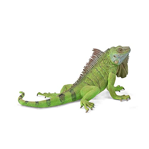 Collecta Figurka Iguana 88965 [FIGURKA]