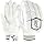 Adult Right Hand