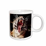 3dRose Michigan, Detroit, Detroit Zoo, Tiger with mouth open 11oz Mug