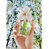 Marc Jacobs Daisy Wild Eau de Parfum - Adventurous Floral Women's Perfume - With Notes of Banana Blossom Accord, Jasmine & Macadamia Accord, Sandalwood & Vetiver des Sables