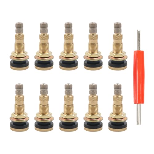 Buse de roue tubeless TR618A laiton EPDM avec extracteur obus de valve