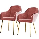 Silla de comedor Respaldo de terciopelo + patas de metal, cojín relleno de esponja de alta densidad, asiento suave y cómodo