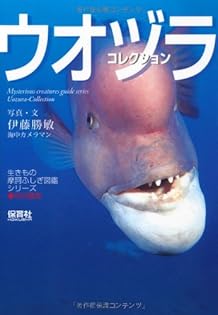 伊豆の海　海中大図鑑　第６版 伊藤勝敏 ヨドバシ.com - 伊豆の海 海中大図鑑 第6版 [全集叢書] 通販
