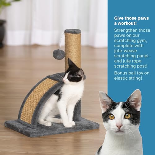 Gimnasio rascador para gatos Prevue Pet Products miniatura 2