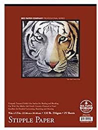 Bee Paper Coquille Fine Stipple Paper Pad, 9 X 12 inches, 130 lb. 25 Sheets (BEE-1013T25-912)