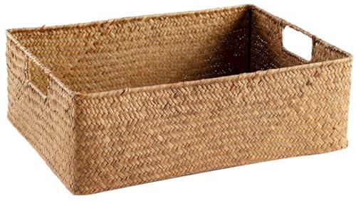 EVREFIN҂ݍݎ[oXPbgA|[^uArO[AoX[AQAރI[KiCU[ɍœK (傫)