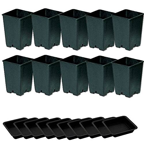 Idroponica Vaso quadro 3,6L + Sottovaso - 15x15x20cm