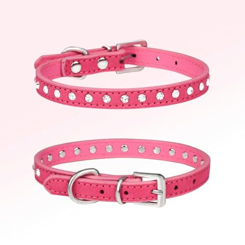 CXg[ NX^ LL Ob^[ U[  Lp ^obN ybg L q p lbNX 11F