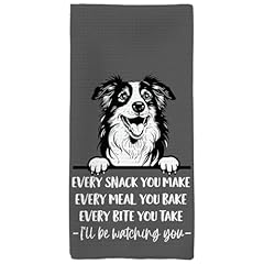 Australian Shepherd-1