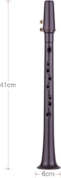 11-hole C Key Mini Pocket Saxophone ABS with Alto Mouthpiece Ligature 4pcs Reeds 8pcs Dental Pads Finger Charts Cleaning Cloth Carrying Bag