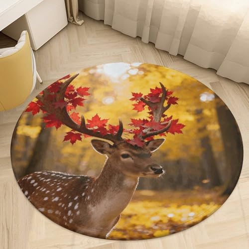 �v���b�V�� �R�[���� �x���x�b�g ���E���h �G���A���O 2�t�B�[�g �ɔ� 0.5 cm �H ���̊p �t���A�}�b�g ����~�� TPR���n ��p�C�� ����\ �E�F���J���t�����g�h�A�}�b�g �Q�� ���ւ̑����p