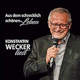  Das schrecklich schöne Leben