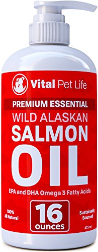 Best Wild Pets