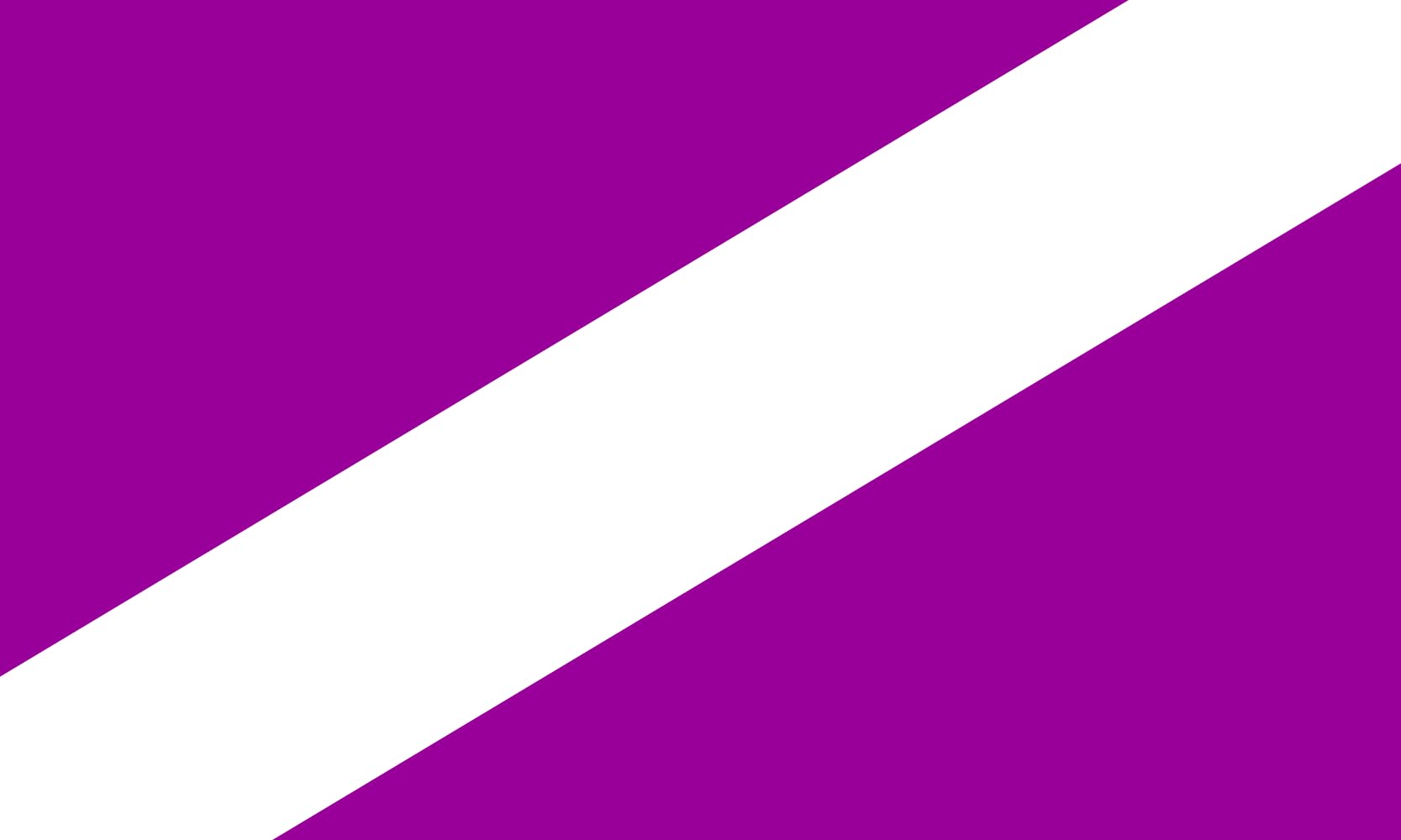 Drapeau Puerto Williams Cabo de Hornos grand format pour mât de jardin et extérieur