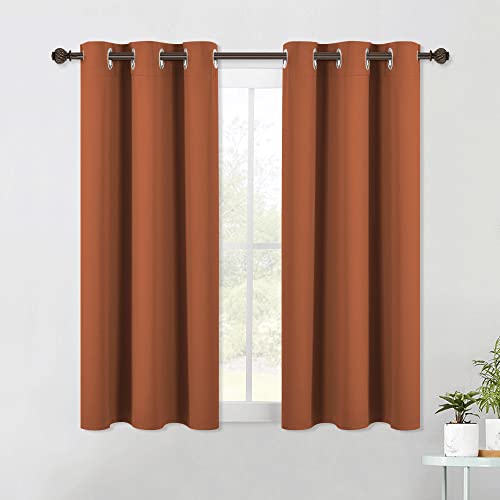 NICETOWN Modern Blackout Curtains Noise Reducing, Thermal Insulated and Privacy Room Darkening Drape Panels for Boy's Guest Room Door Small Window (Bu