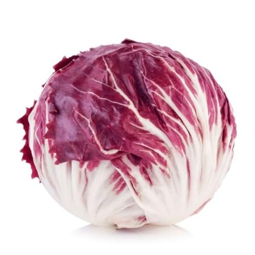 100pieces Red Radicchio Vegetable Seeds