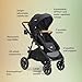 Joie Baby, Ginger DLX Stroller and Mint Latch Car Seat, Travel System (Dove)