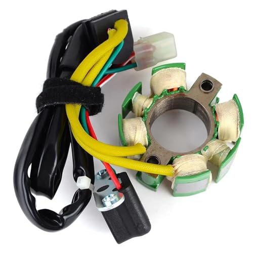 Bobine de stator pour 250 SX haute précision alternateur moto TC250