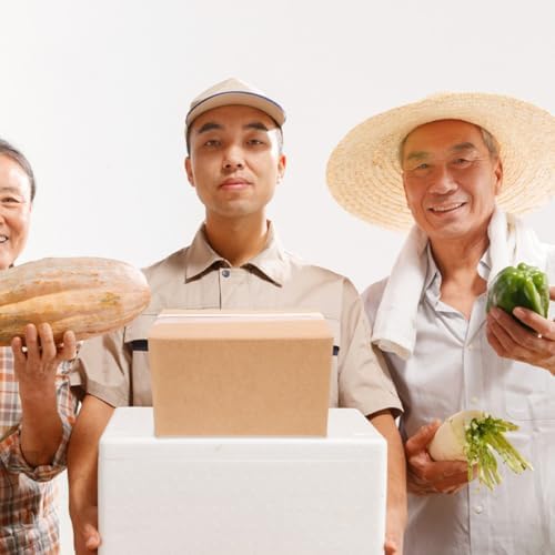 NUOBESTY Yalıtımlı taşıma kutusu, alüminyum folyolu, küçük termal kutu, 29 x 18 x 20 cm, soğuk ambalaj, deniz ürünleri ve bozulabilir gıdaların ekspres gönderimi için - Görsel 5