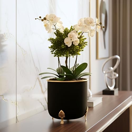 Image of BEHOMA Black Metal Leaf Leg Planter 6 inch Tabletop Planter | Pot for Indoor Outdoor Balcony Living Room | Table Plant Pot with Leaf Leg for Gifting