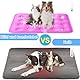 ElevaPulse Hundematte & Katzenmatte, 40x50cm Kühlmatte Hund, Kühlmatte Für Hunde, Kühlmatte Katze, Kühldecke Hund Mit Selbstkühlend Ungiftiges Gel, Hunde Kühlmatte, Für Drinnen, Draußen Und Auto