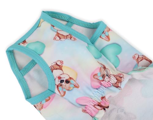 Pickorruchos Vestido Flórida Para Cães Rosa - Tamanho 01