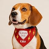 Wanapix | Pañuelo Bandana Personalizado para Perro | Personaliza con Nombre | Bandana Ajustable para Perros y Gatos | Pañuelo Rojo Super Dog
