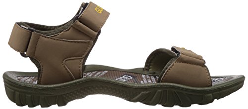 Image of Liberty Gliders