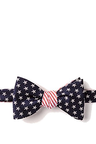 Mens American Flag Stars & Stripes Reversible Self Butterfly Bow Tie