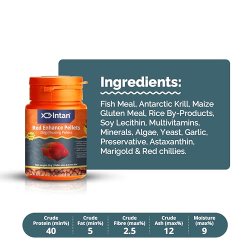 Image of Intan Red Enhance Pellets (Big 2.5mm Floating) | 30gm - Highly Nutritious Ornamental Fish Food for Parrotfish & Red Coloured Fish | Growel Feeds
