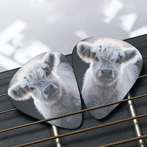 Ensemble de 12 médiators de guitare Grey Cow pour guitare acoustique, guitare électrique, contrebasse, ukulélé - Les Beatles, Paul McCartney, John Lennon, RIngo Starr, George Harrison Ensemble de 12 médiators de guitare Grey Cow pour guitare acoustique, guitare électrique, contrebasse, ukulélé – Image 8