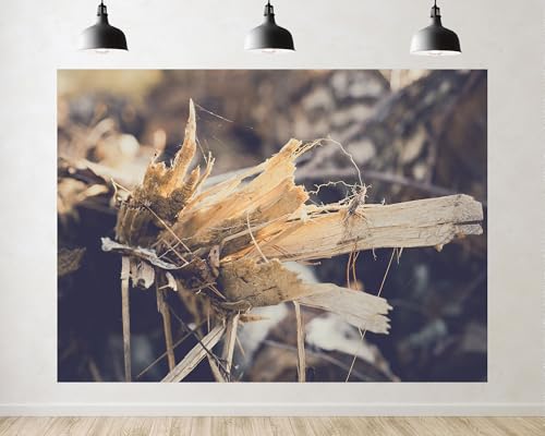 Trykid 8x6ft Dry Wood Fibrous Rustic Natural Backdrop Weathered Fibers