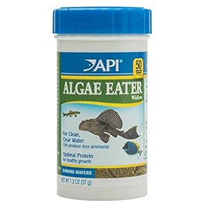 API ALGAE EATER WAFERS Algae Wafer Fish Food 1.3-Ounce Container