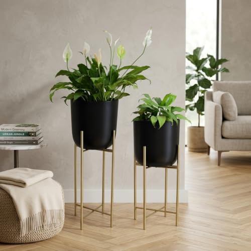 Image of Metal Decorative Modern Indoor Planters for Home Decor Black Planter Gold Stand for Living Room Bedroom Balcony Home and Office | Modern Flower Pots | Set of 2