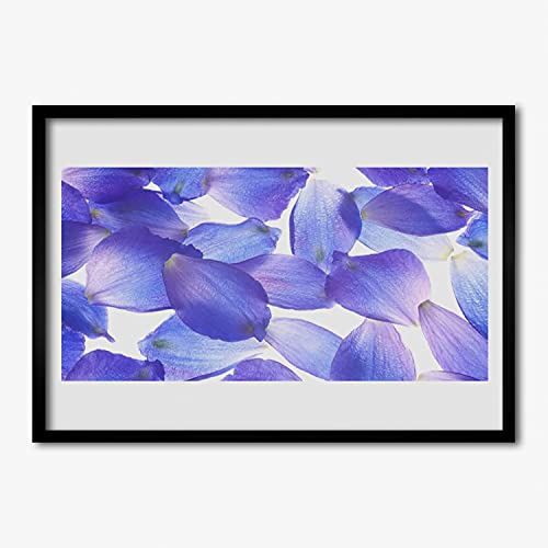 Affiche avec cadre haut de gamme 70x50 cm Tulup motif faune et plantes