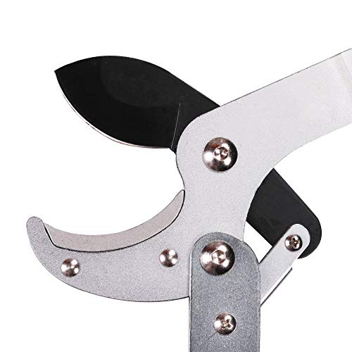 Gartol Anvil Lopper With Compound Action 29 Inch Heavy Duty Tree Branch Cutter, 2 Inch Cutting Capacity Tree Trimmer, With Ergonomically Designed Non-Slip Handles #TOP3