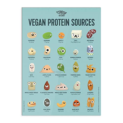 Vegan Fridge Magnet - Protein, Iron, Calcium Plant-Based Sources | Simple Happy Kitchen (Bundle Of 3) #TOP1