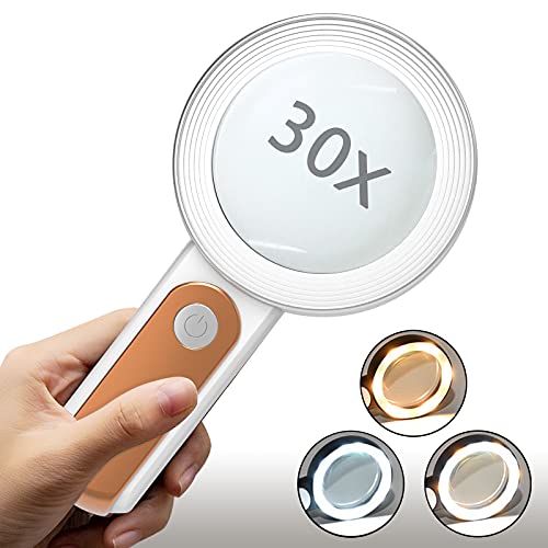 Best Reading Device For Macular Degeneration On The Market Today Spicer Castle