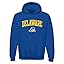 Delaware Blue Hens Royal