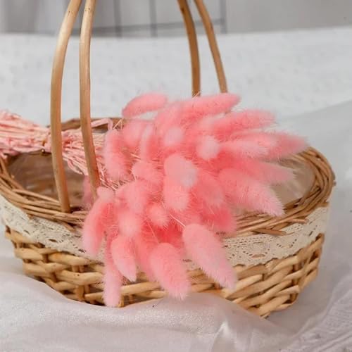 Ramo decorativo de pasto pampas natural 60 piezas