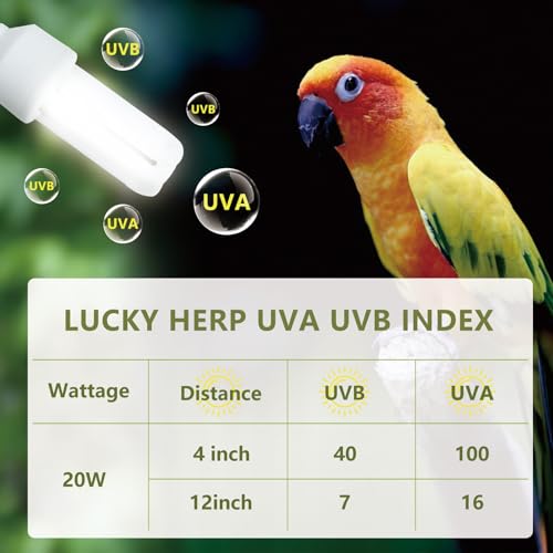 Image of LUCKY HERP UVA UVB Light Bulb for Birds 2.4 UVB 20W Compact Flourescent Lamp for All Kinds Captive Birds (Pack of 2)
