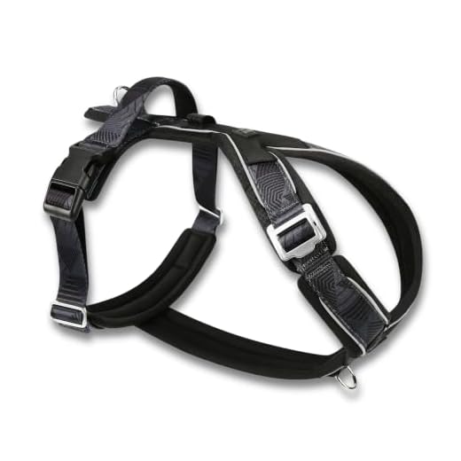 Twiggy Tags Lightweight Reflective Dog Harness