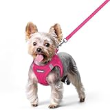 rabbitgoo Dog Harness Small Sized and Leash Set, Step in Soft Light Puppy Vest, Breathable Mesh Pet Harness, Reflective for Safe Easy Walking, Rose Red XS