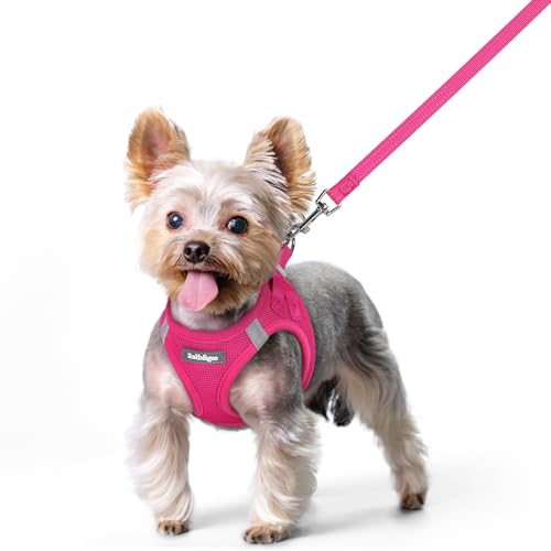 rabbitgoo Dog Harness Small Sized and Leash Set, Step in Soft Light Puppy Vest, Breathable Mesh Pet Harness, Reflective for Safe Easy Walking, Rose Red XS