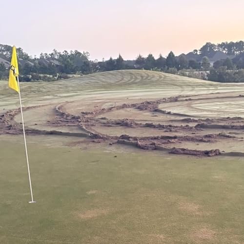 ChatBot Children, Cockroach Murder Accomplice, Smuggled Parakeets In Underwear