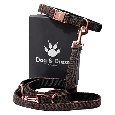 Set Correa y Collar de Perro Dog & Dress Cover