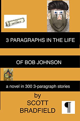 3 Paragraphs in the Life of Bob Johnson: A Novel in 300 3-Paragraph Short Stories
