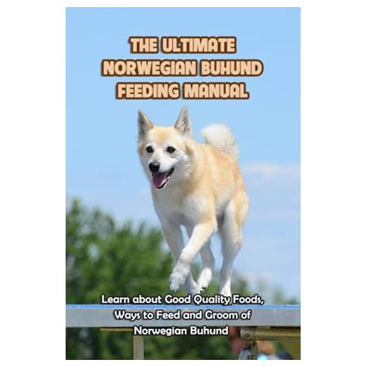 The Ultimate Norwegian Buhund Feeding Manual: Learn about Good Quality Foods, Ways to Feed and Groom of Norwegian Buhund: Norwegian Buhund Informations